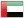 UAE Flag